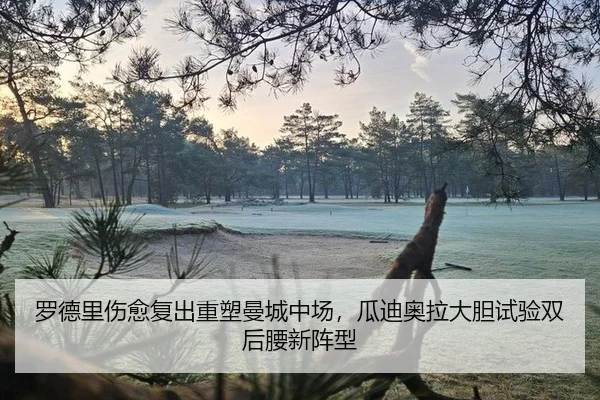 luo-de-li-shang-yu-fu-chu-zhong-su-man-cheng-zhong-chang-gua-di-ao-la-da-dan-shi-yan-shuang-hou-yao-xin-zhen-xing-2-617.jpg